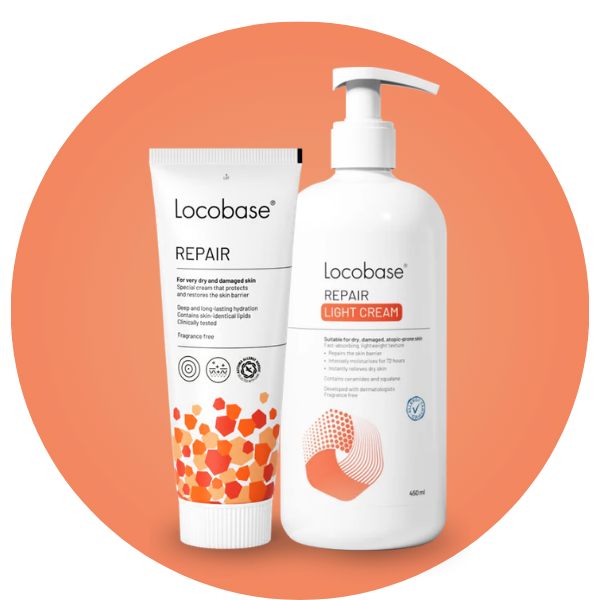 Locobase Repair & Repair Light