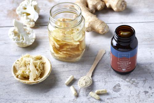 Terranova Fermented Ginger FERZINGER, 50 kaps
