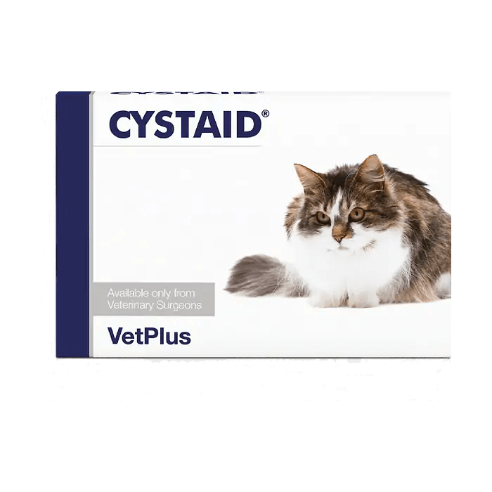 Cystaid täydennysrehuvalmiste kissoille - kissa syö ruokaa ruokakupista