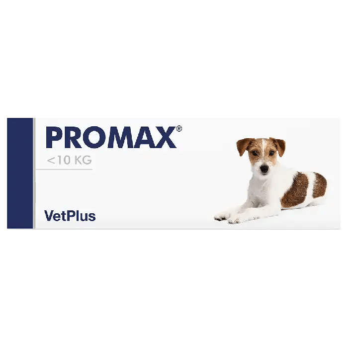 Promax oraalipasta Akuutin ripulin hoitoon koirille, kissoille ja kaneille - Apteekki 360 Helsinki - Verkkoapteekki