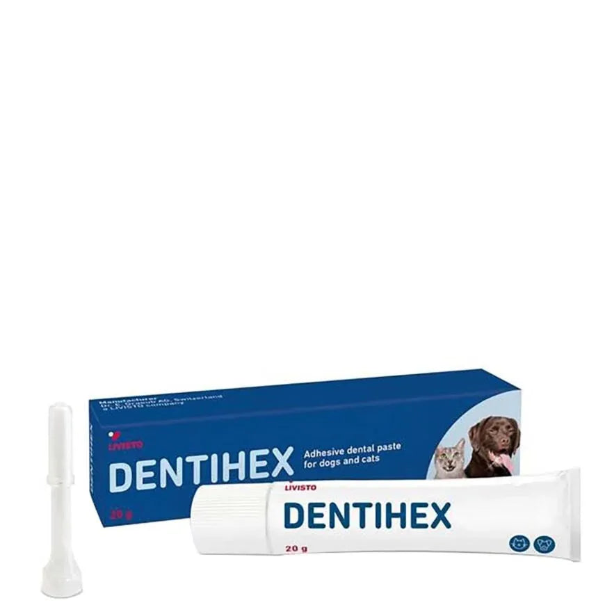 Dentihex Kiinnittyvä Hammasgeeli Koirille ja Kissoille - Apteekki 360 Helsinki - Verkkoapteekki