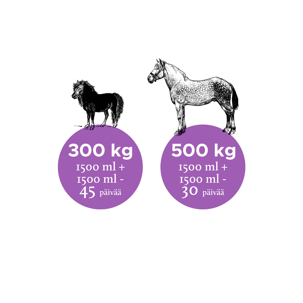 Nutrolin Horse Joint Duo 3000ml - Rasvahapot Hevoselle - Apteekki 360 Helsinki - Verkkoapteekki
