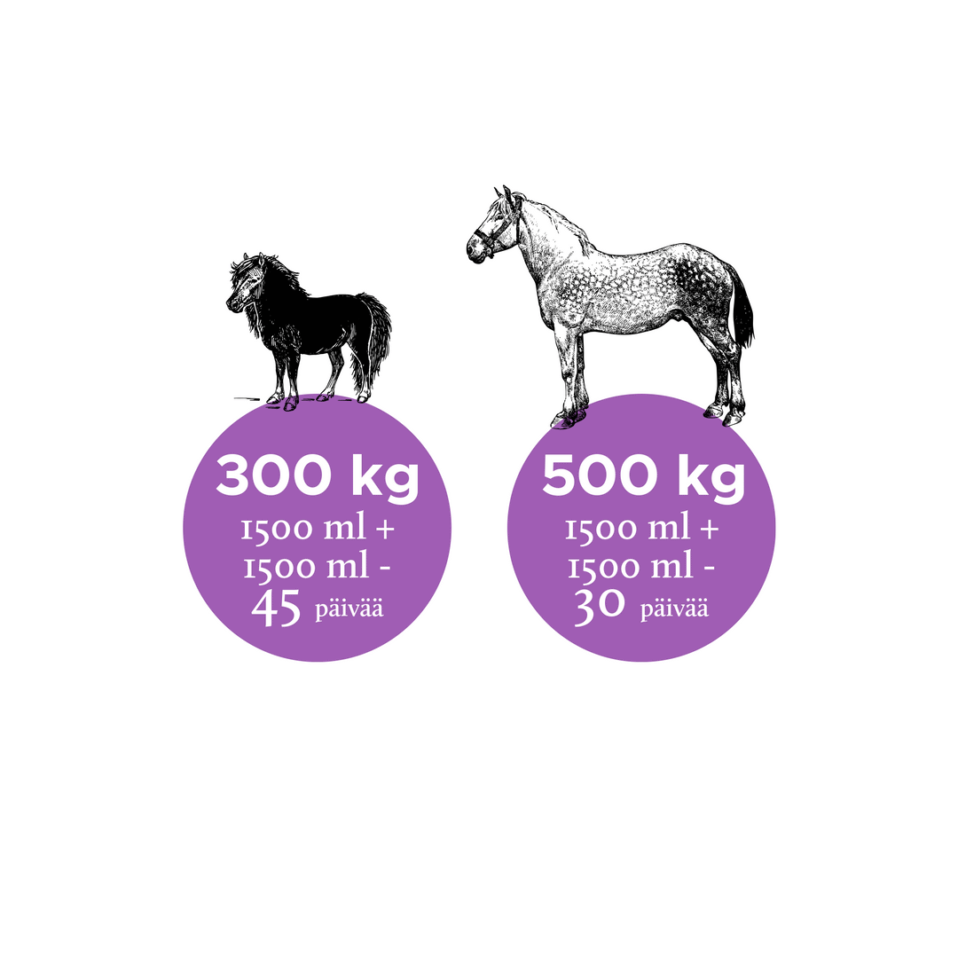 Nutrolin Horse Joint Duo 3000ml - Rasvahapot Hevoselle - Apteekki 360 Helsinki - Verkkoapteekki