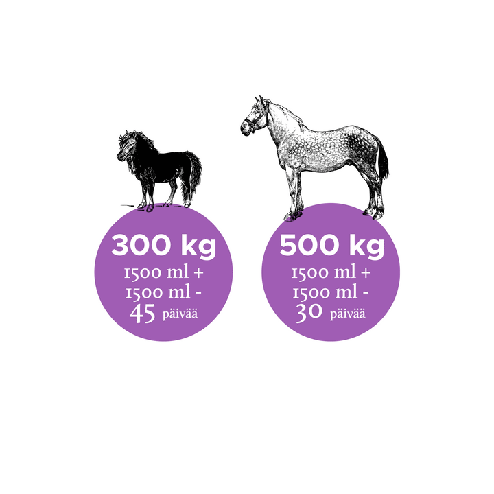 Nutrolin Horse Joint Duo 3000ml - Rasvahapot Hevoselle - Apteekki 360 Helsinki - Verkkoapteekki
