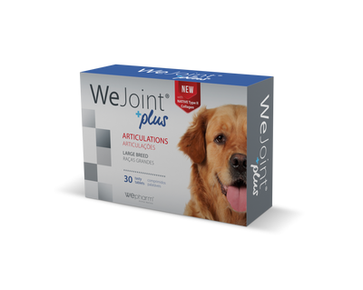 Wejoint Plus Large Breed