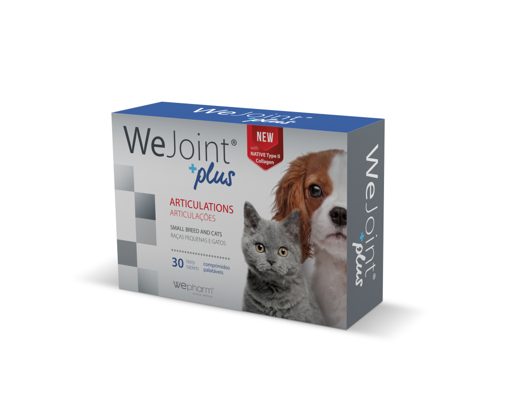 Wejoint Plus Small Breed & Cat