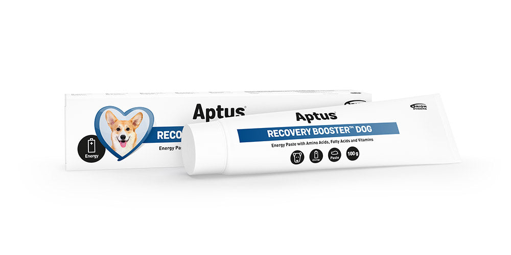 Aptus Recovery Booster Dog
