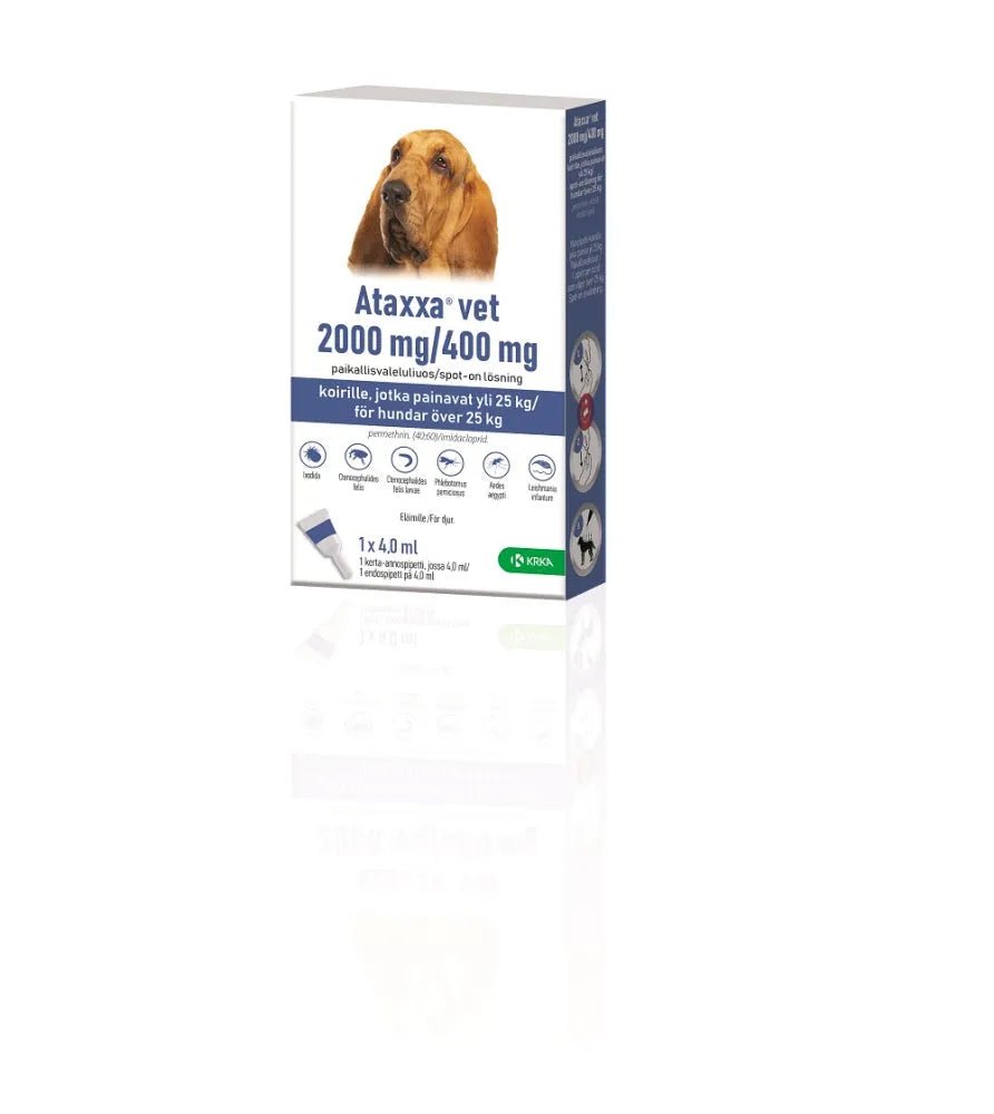 Ataxxa Vet 400 Mg/2000 Mg Paikallisvaleluliuos Koirille Yli 25 Kg - Apteekki 360 Helsinki - Verkkoapteekki