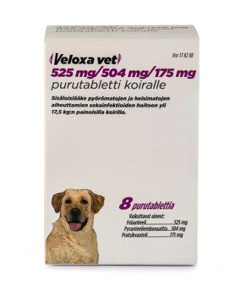 Veloxa Vet 175 Mg/504 Mg/525 Mg Purutabl - Apteekki 360 Helsinki - Verkkoapteekki