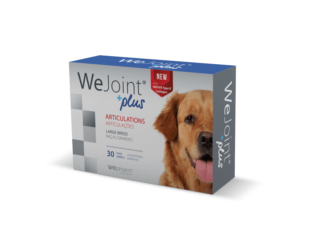 Wejoint Plus Large Breed - Apteekki 360 Helsinki - Verkkoapteekki