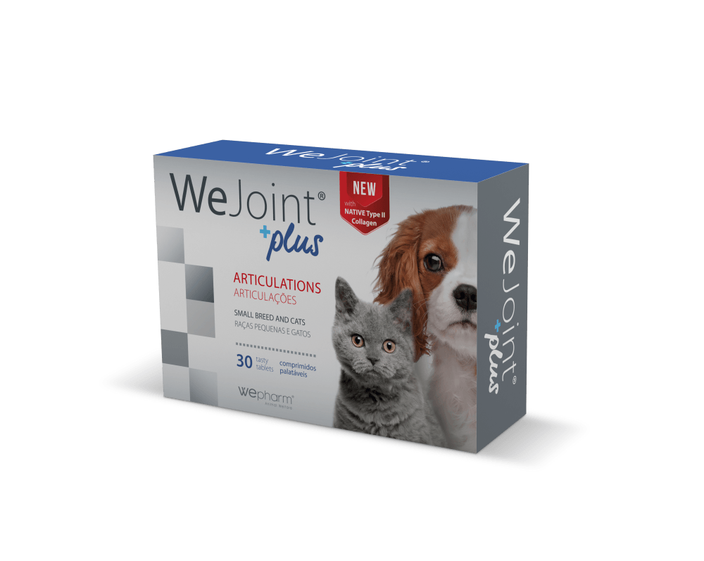 Wejoint Plus Small Breed & Cat - Apteekki 360 Helsinki - Verkkoapteekki