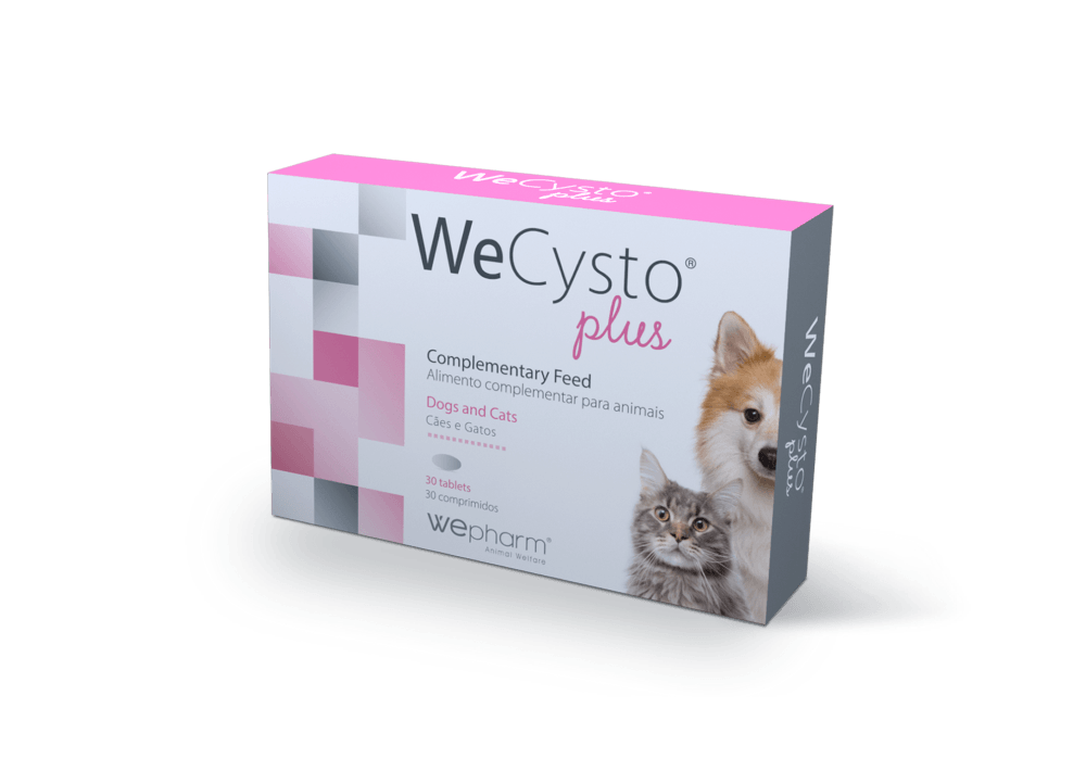 Wecysto Plus Makutabletit - Apteekki 360 Helsinki - Verkkoapteekki