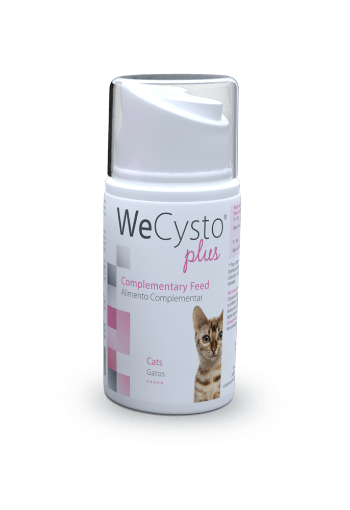 Wecysto Plus Oral Gel - Apteekki 360 Helsinki - Verkkoapteekki