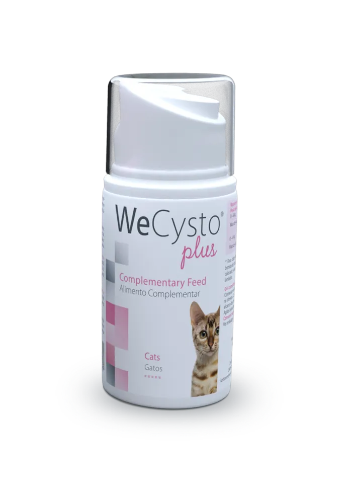 Wecysto Plus Oral Gel - Apteekki 360 Helsinki - Verkkoapteekki